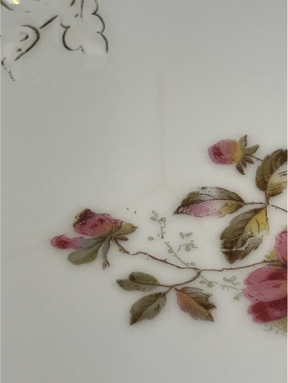 Austria Antique 1900s Set Of 2 Salad Plates Wild Rose Silver Scroll, 8”